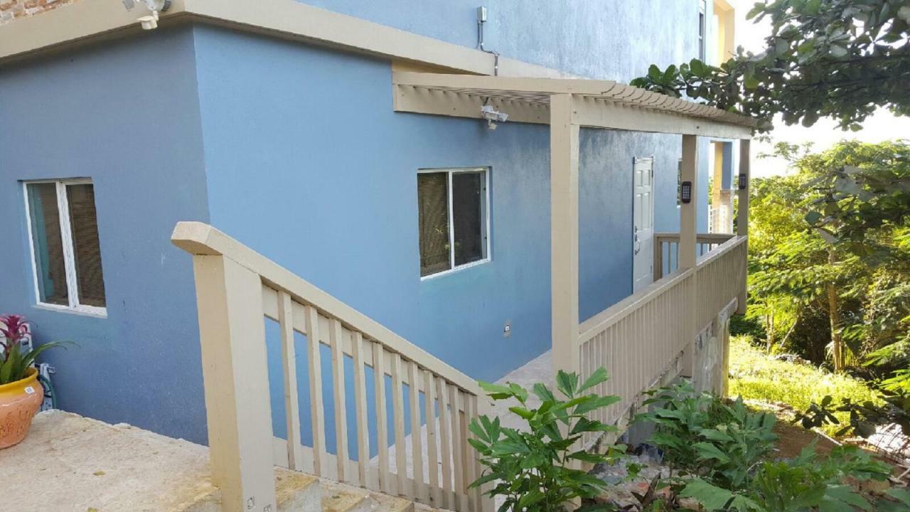 Villa Indigo Sunny 1Br Apartment In Private Gated Estate Charlotte Amalie Eksteriør bilde